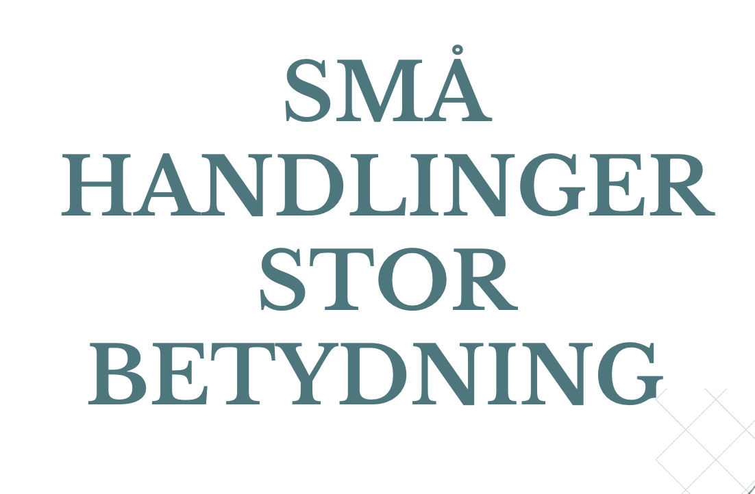 VELLIV: Når små ting gør en stor forskel